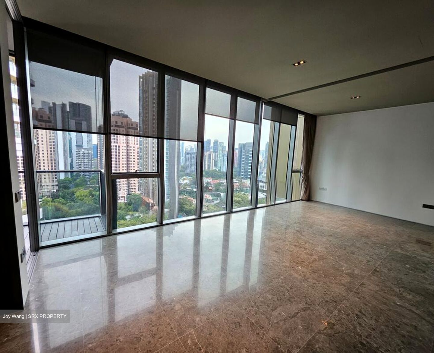 Cuscaden Reserve (D10), Condominium #498379061